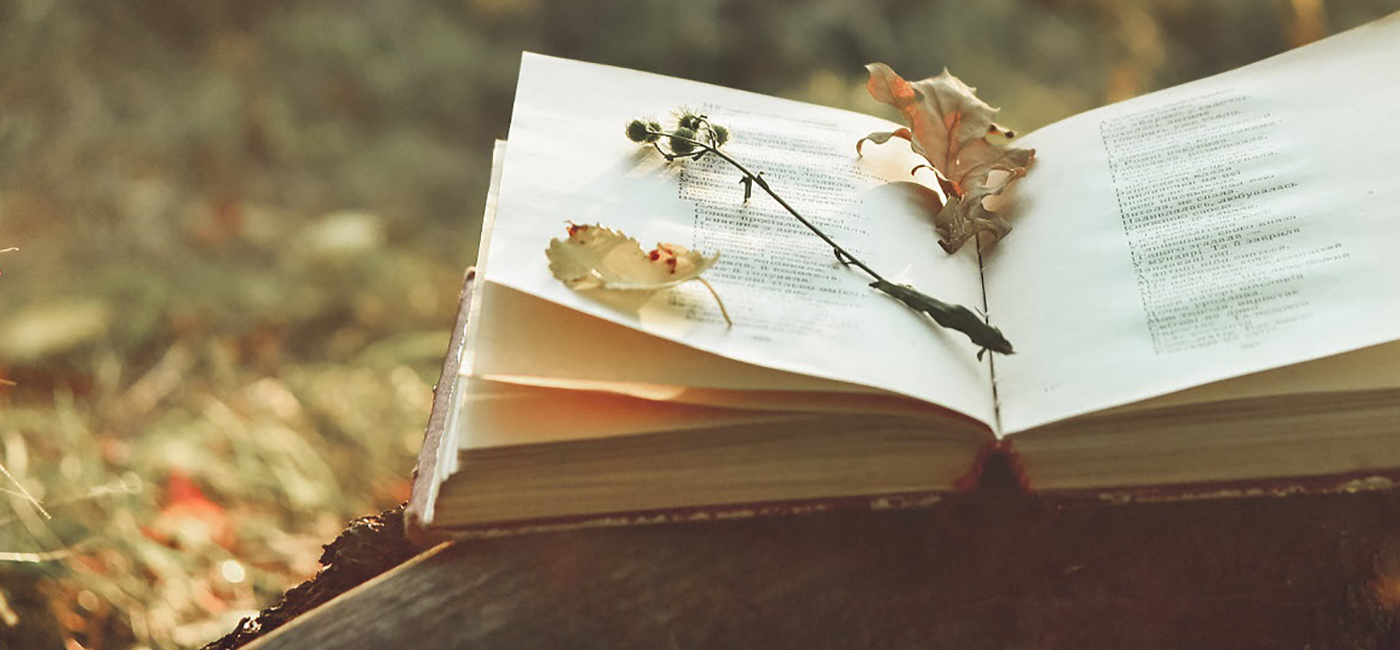 Poetry by Heart Competition