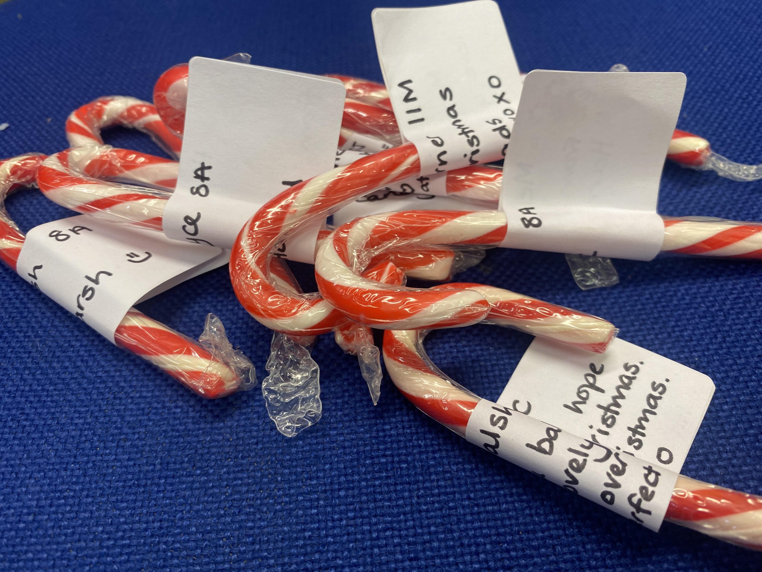 Candy Canes For Wellspring